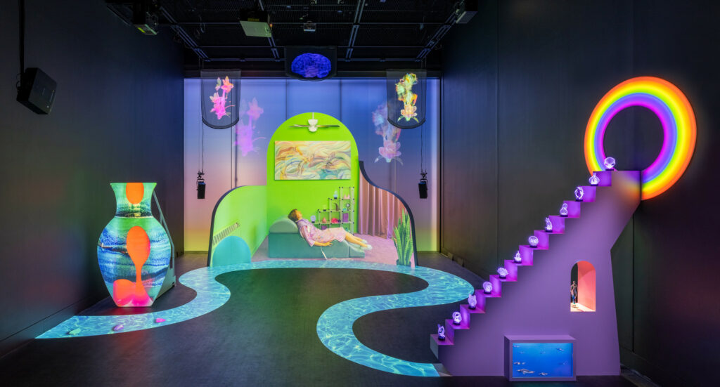 Installation vidéo mapping performance Shana Moulton